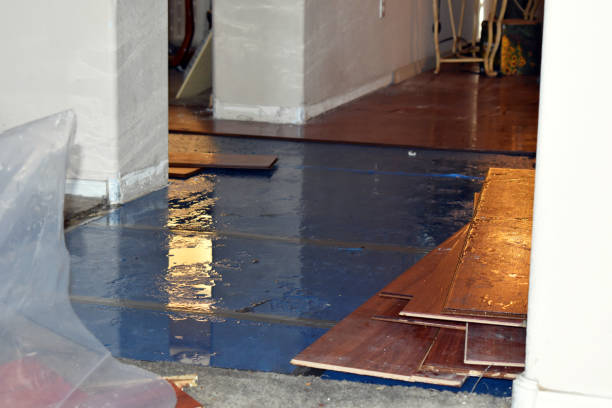 Professional Flood Damage Restoration technician working in Estacada, OR